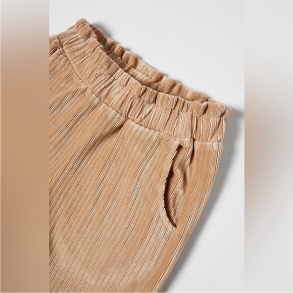 Zara Tan Ribbed Pants - Picture 3 of 5